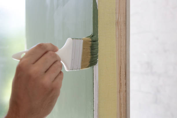 Professional Mold Removal in Newton, MA